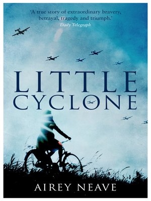 cover image of Little Cyclone